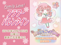 PETER RABBIT FLOWERS