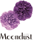 Moondust